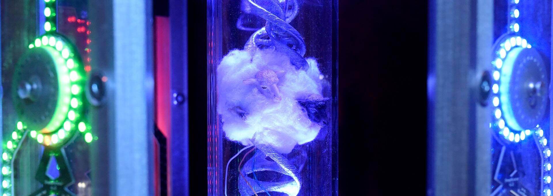 Cover picture Revenge of the Sheep Escape Room in London