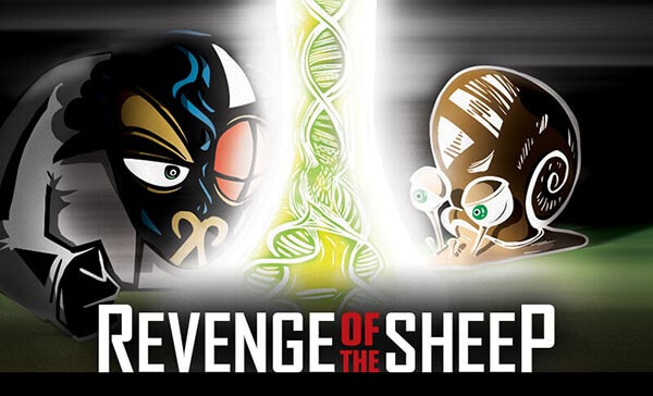 Revenge of the Sheep Escape Rooms for Tourists